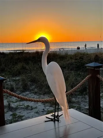 2819 Gulf Of Mexico Drive Longboat Key FL 34228