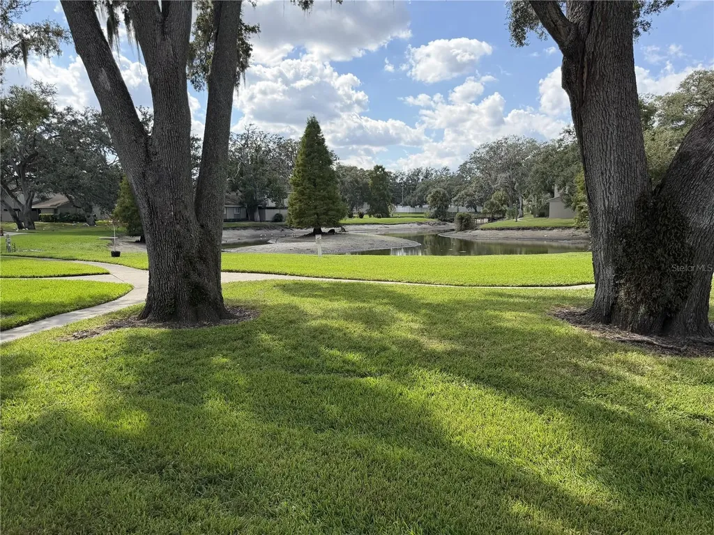 7925 Pine Drive Temple Terrace FL 33637
