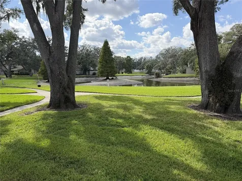 7925 Pine Drive Temple Terrace FL 33637