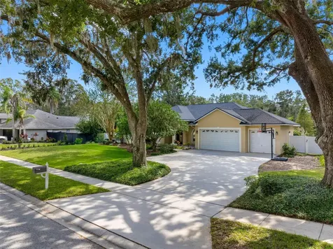 121 Myrtle Ridge Road Lutz FL 33549