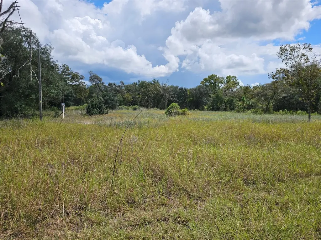 4929 SW Portulaca Court Dunnellon FL 34431