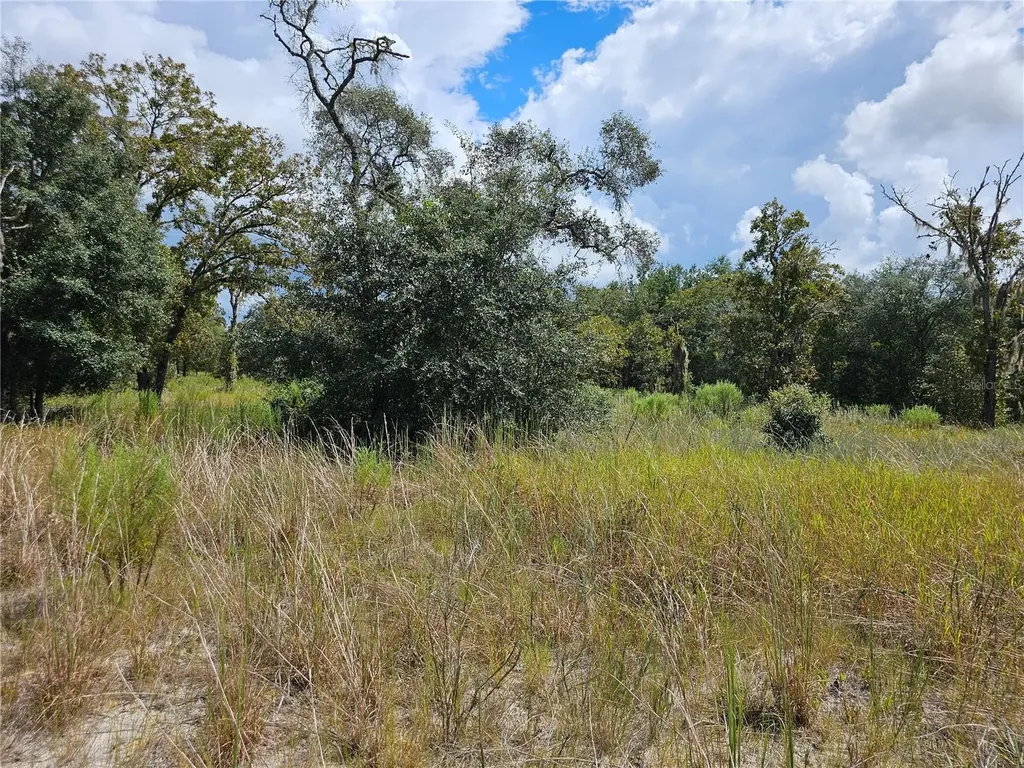 4929 SW Portulaca Court Dunnellon FL 34431