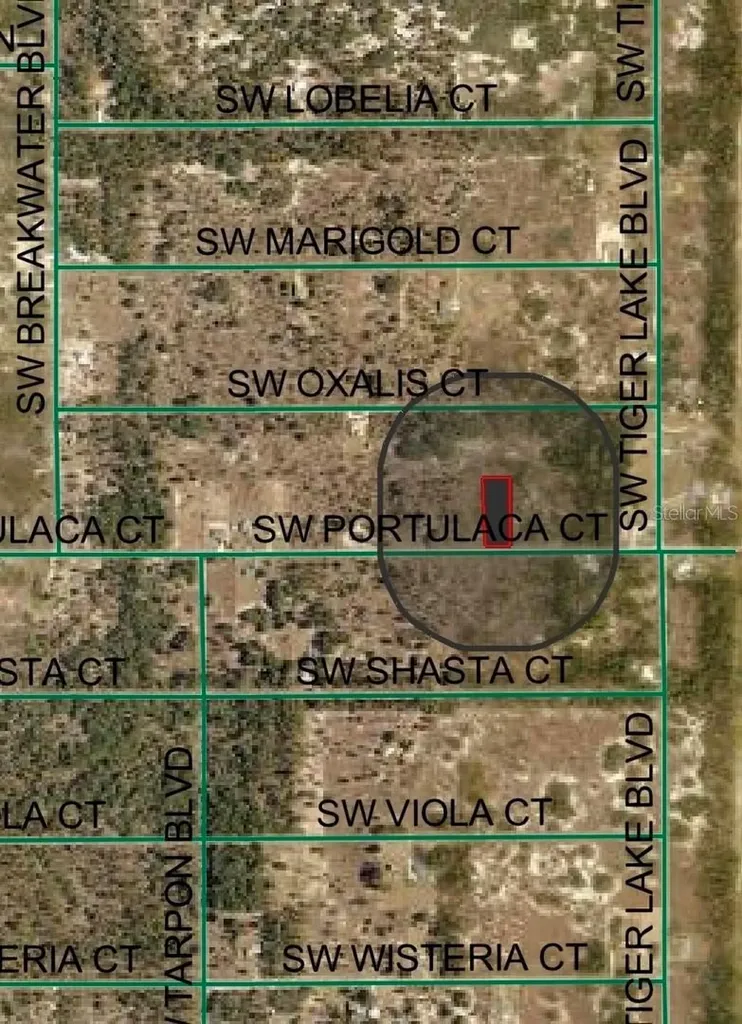 4929 SW Portulaca Court Dunnellon FL 34431