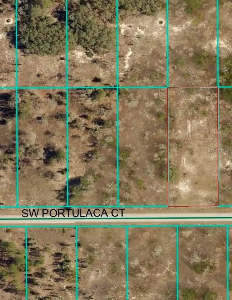 4929 SW Portulaca Court Dunnellon FL 34431