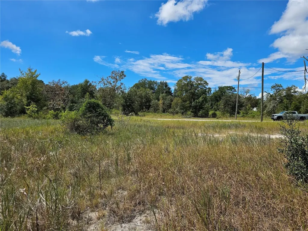 4929 SW Portulaca Court Dunnellon FL 34431