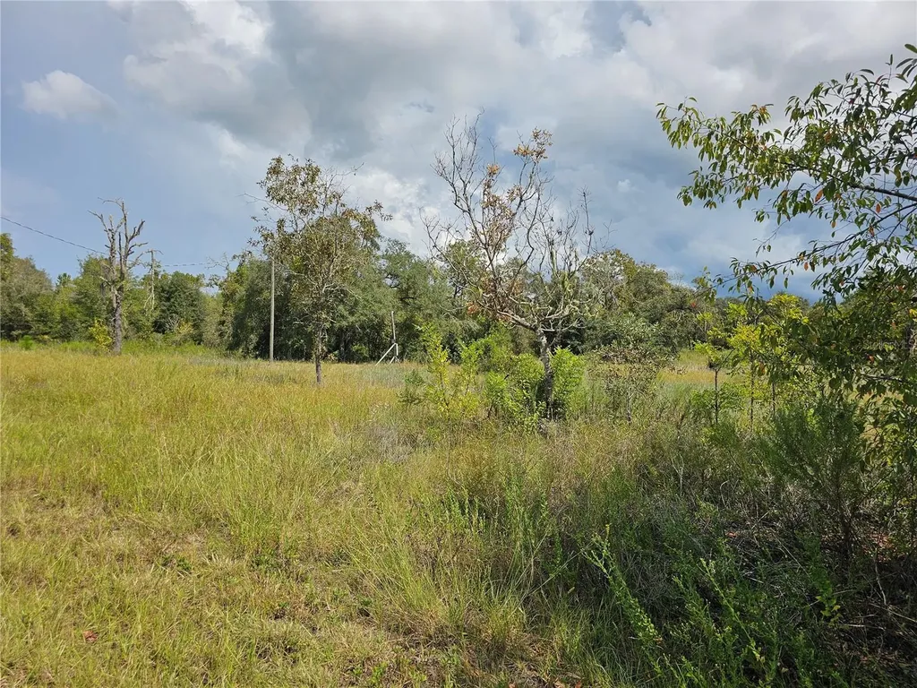 4929 SW Portulaca Court Dunnellon FL 34431