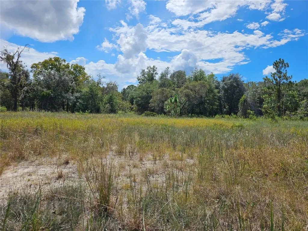 4929 SW Portulaca Court Dunnellon FL 34431