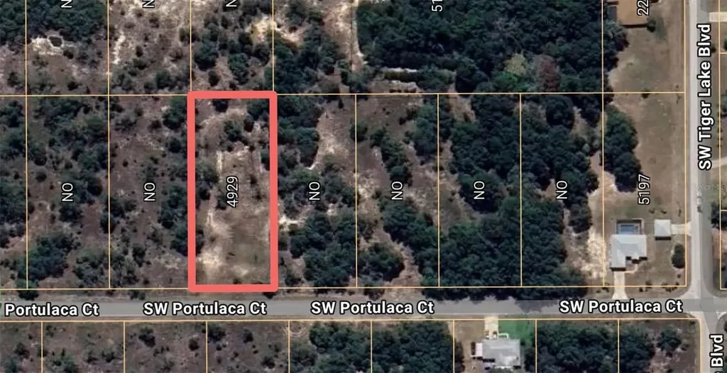 4929 SW Portulaca Court Dunnellon FL 34431