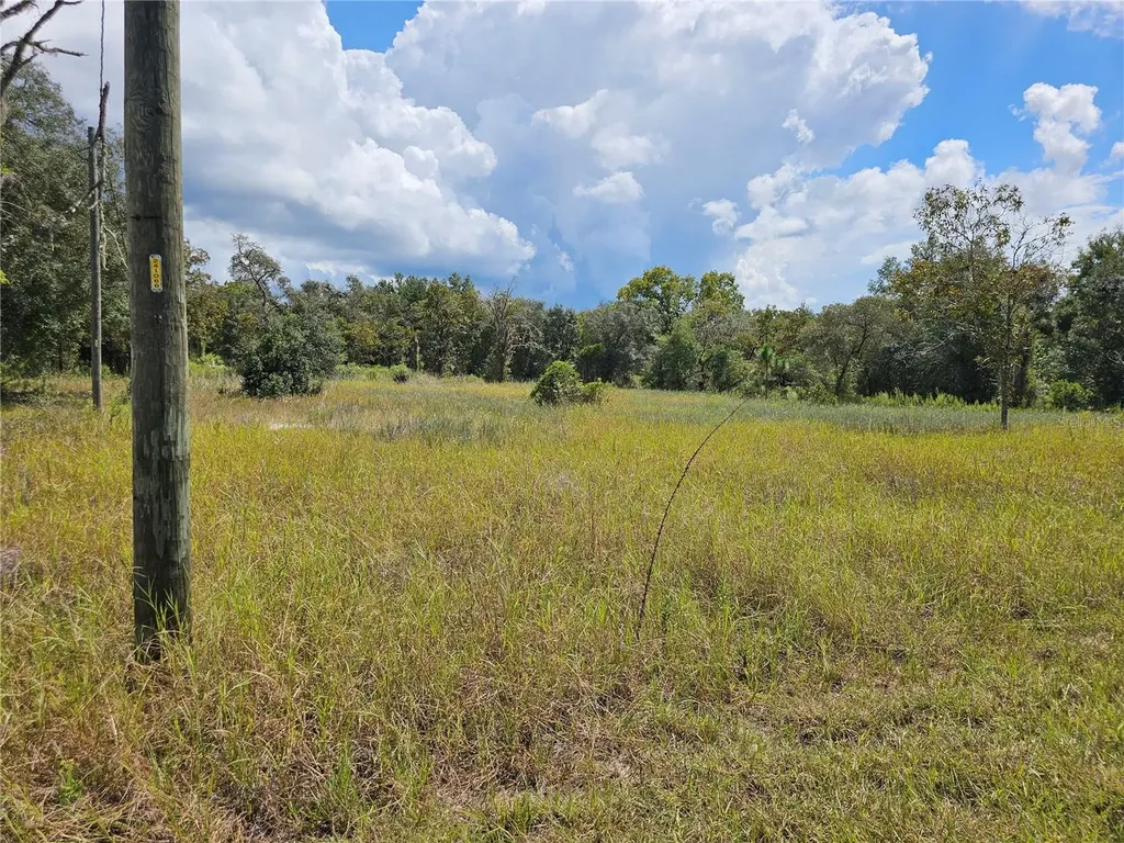 4929 SW Portulaca Court Dunnellon FL 34431