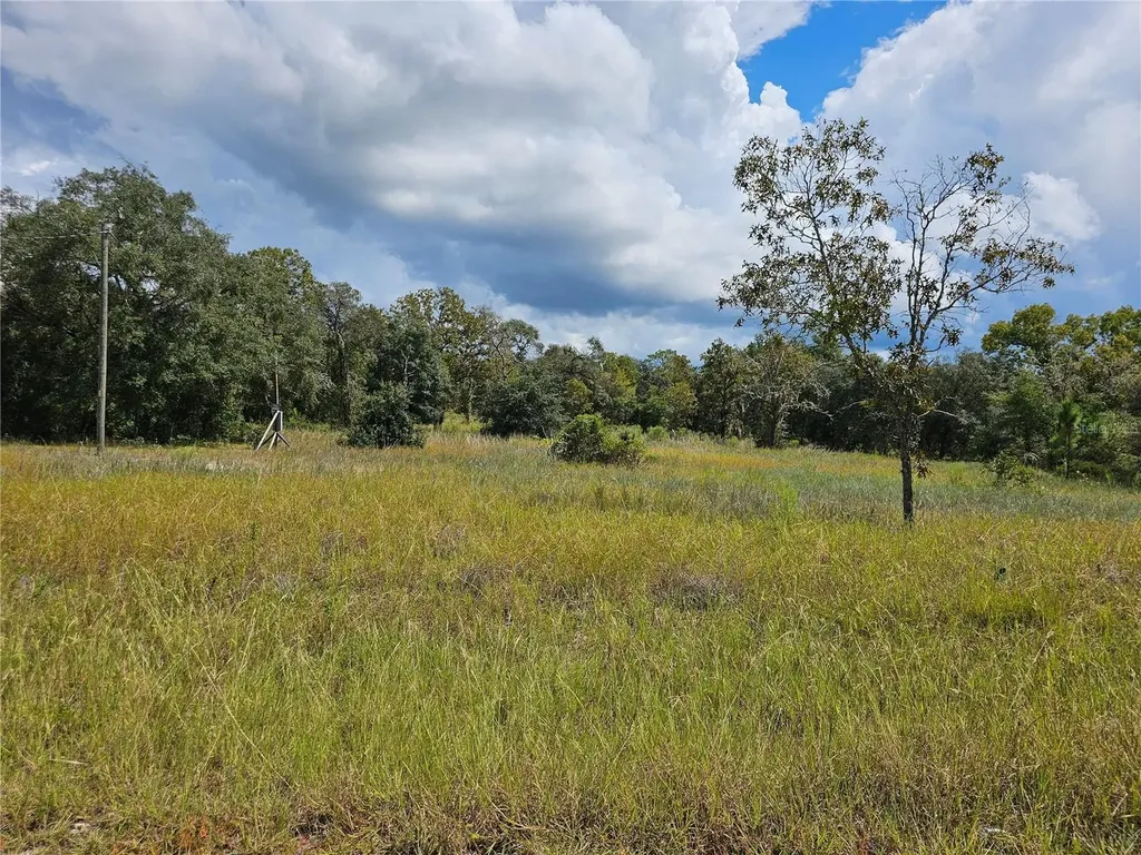 4929 SW Portulaca Court Dunnellon FL 34431