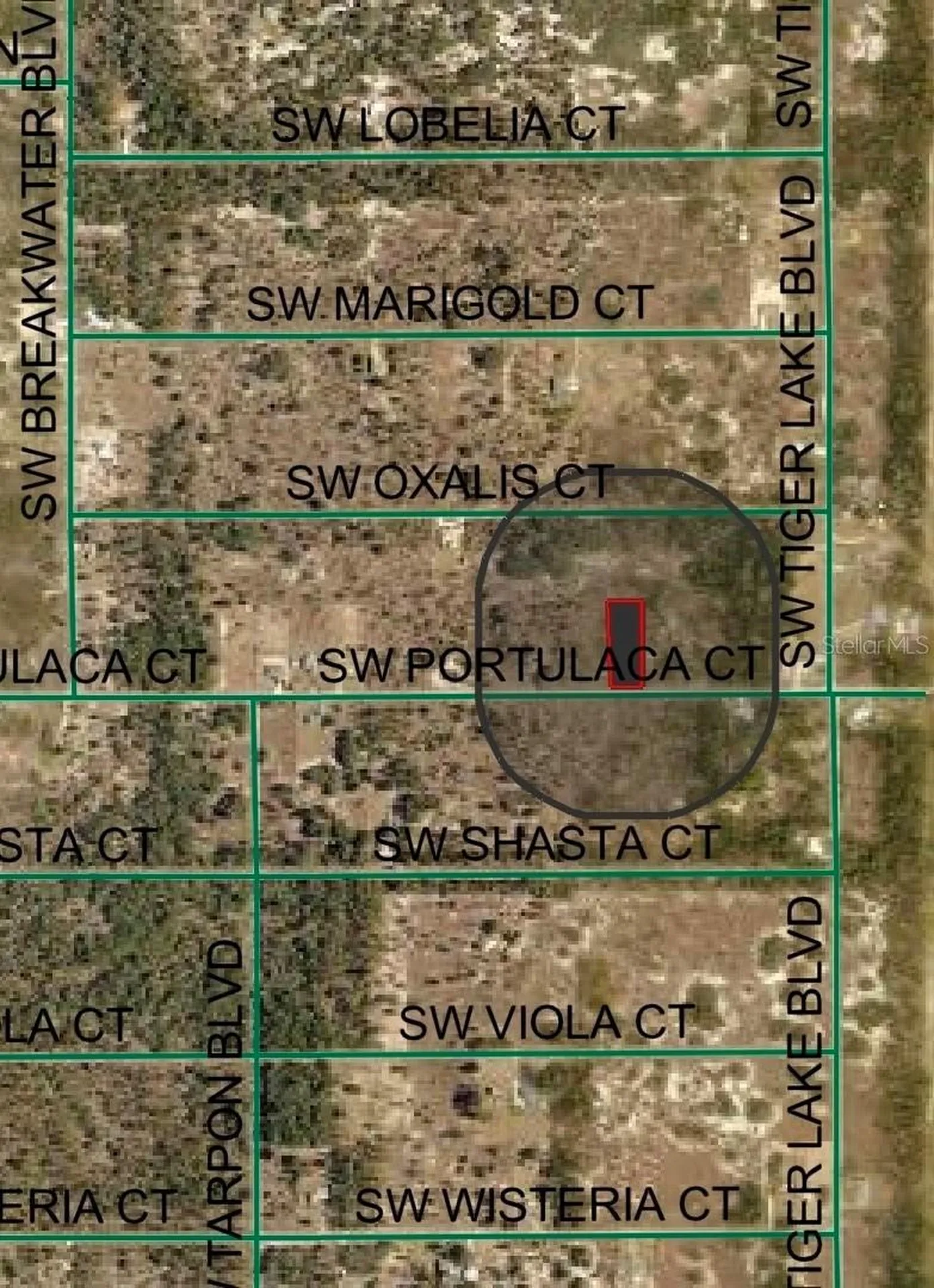 4929 SW Portulaca Court Dunnellon FL 34431