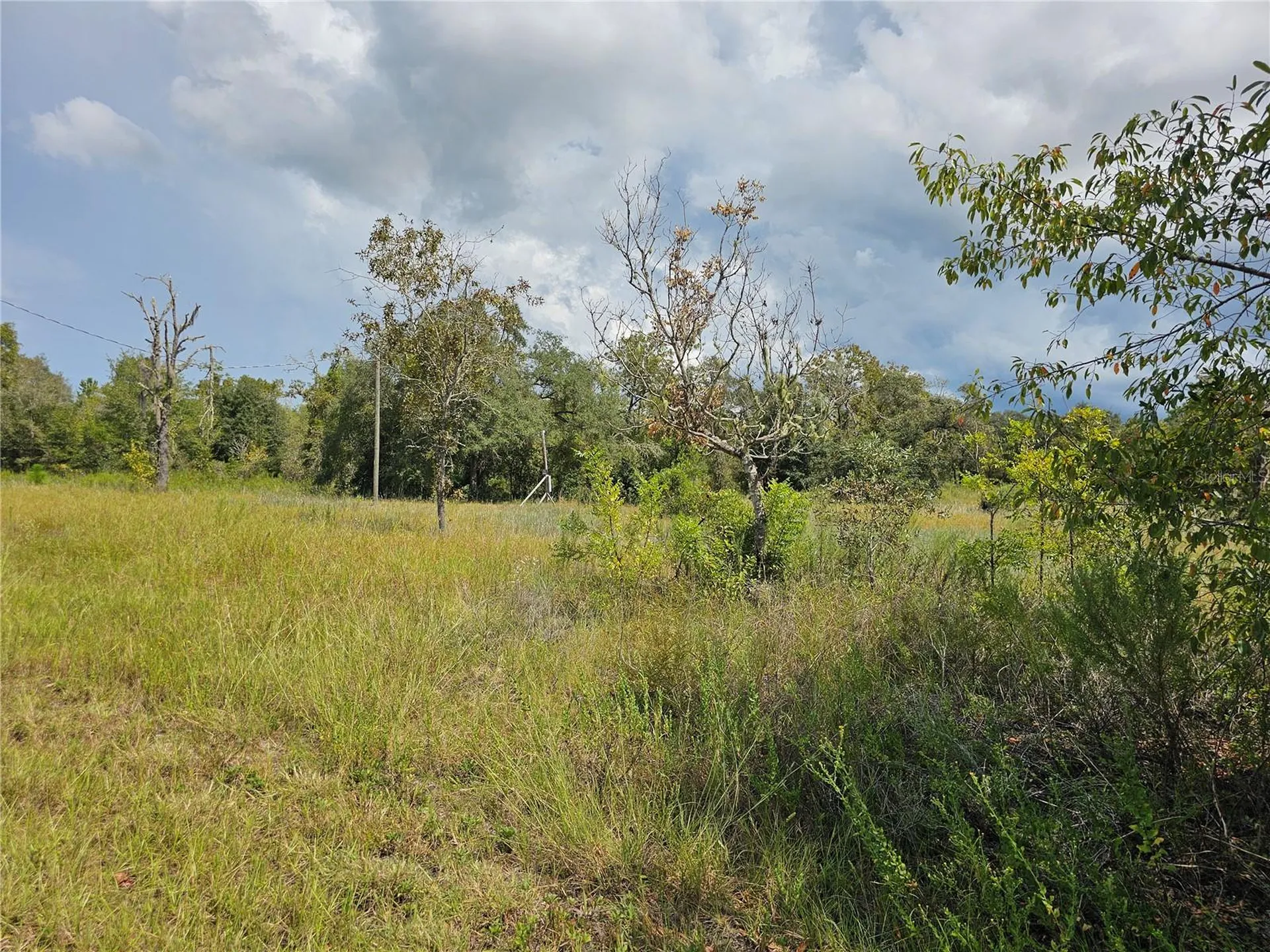 4929 SW Portulaca Court Dunnellon FL 34431