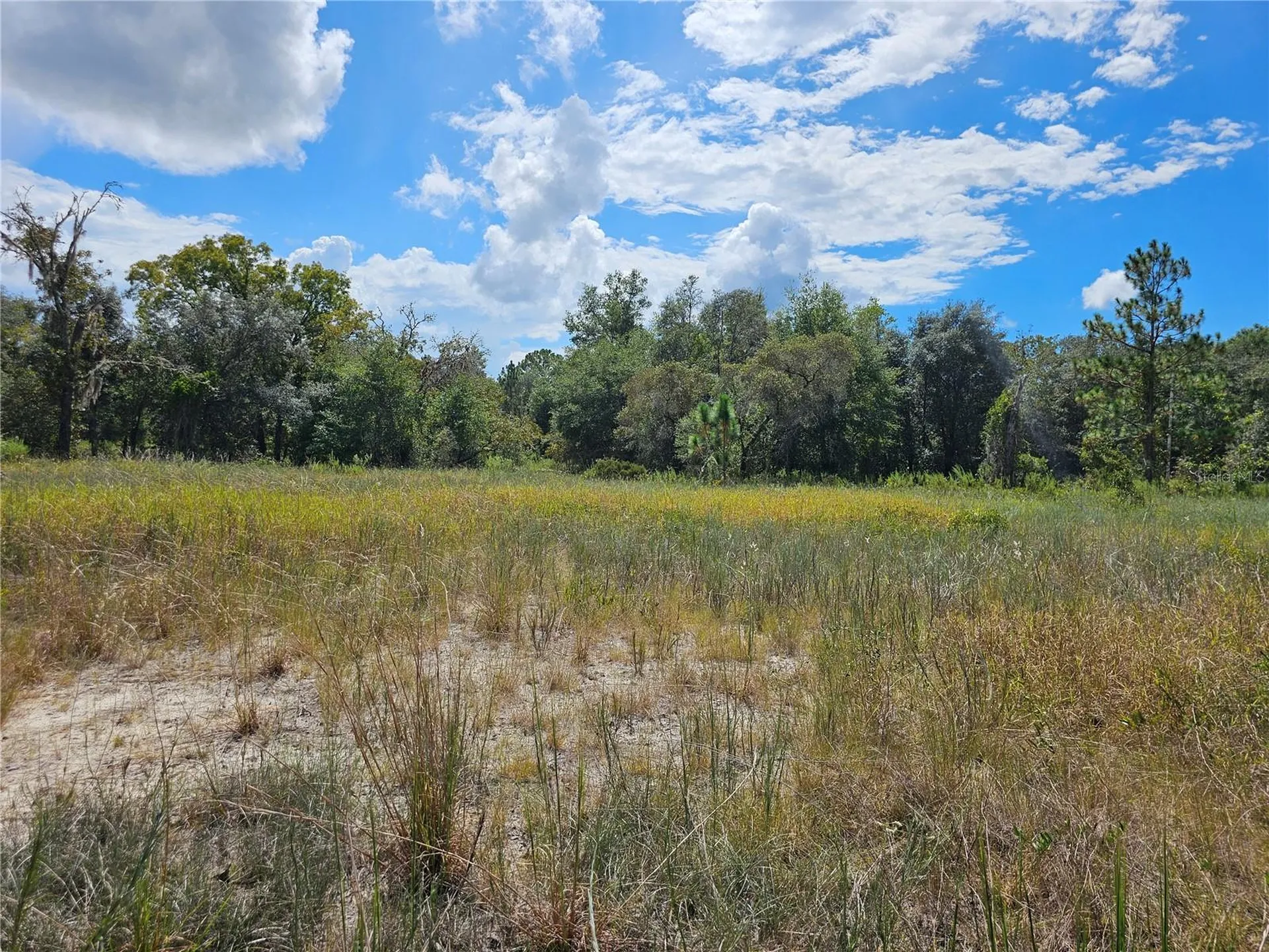 4929 SW Portulaca Court Dunnellon FL 34431