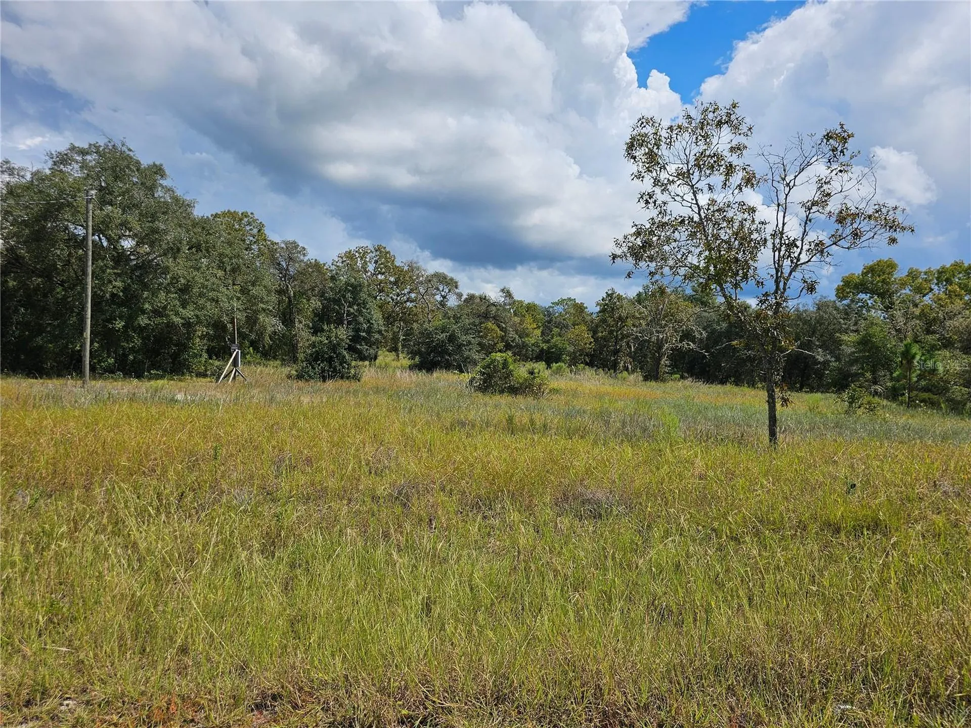 4929 SW Portulaca Court Dunnellon FL 34431