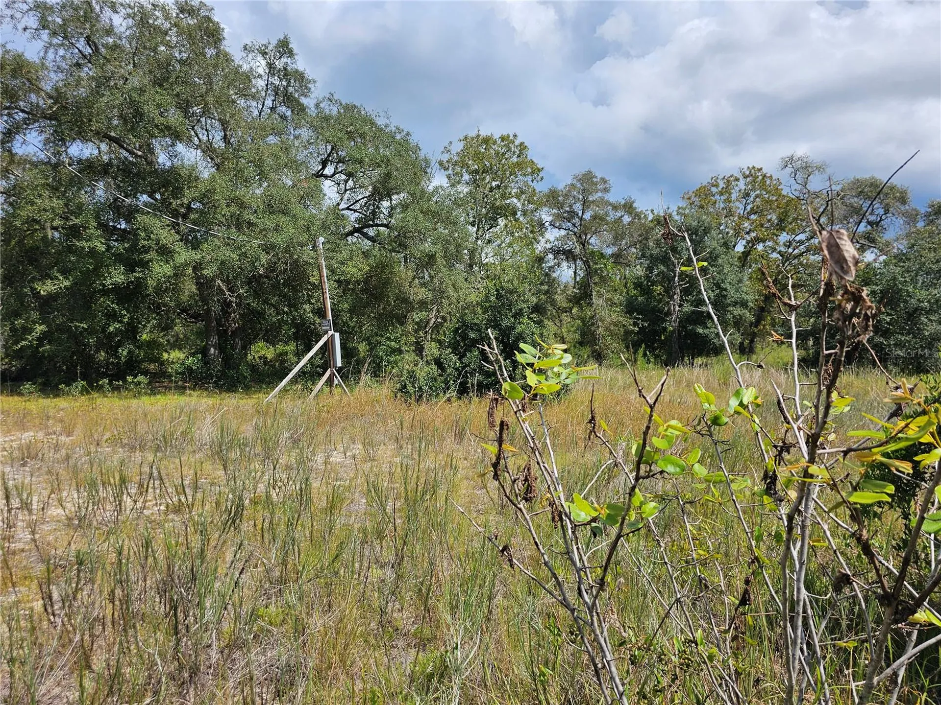 4929 SW Portulaca Court Dunnellon FL 34431