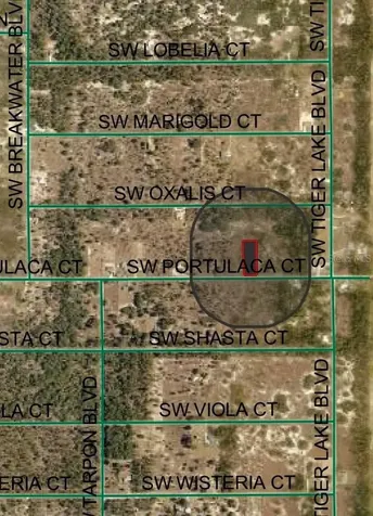 4929 SW Portulaca Court Dunnellon FL 34431