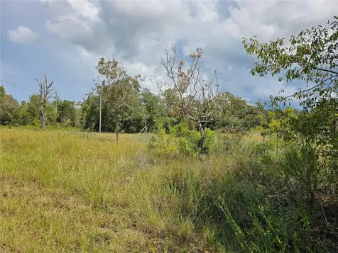 4929 SW Portulaca Court Dunnellon FL 34431