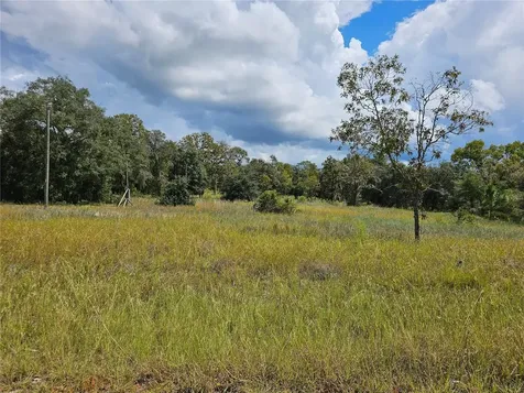4929 SW Portulaca Court Dunnellon FL 34431