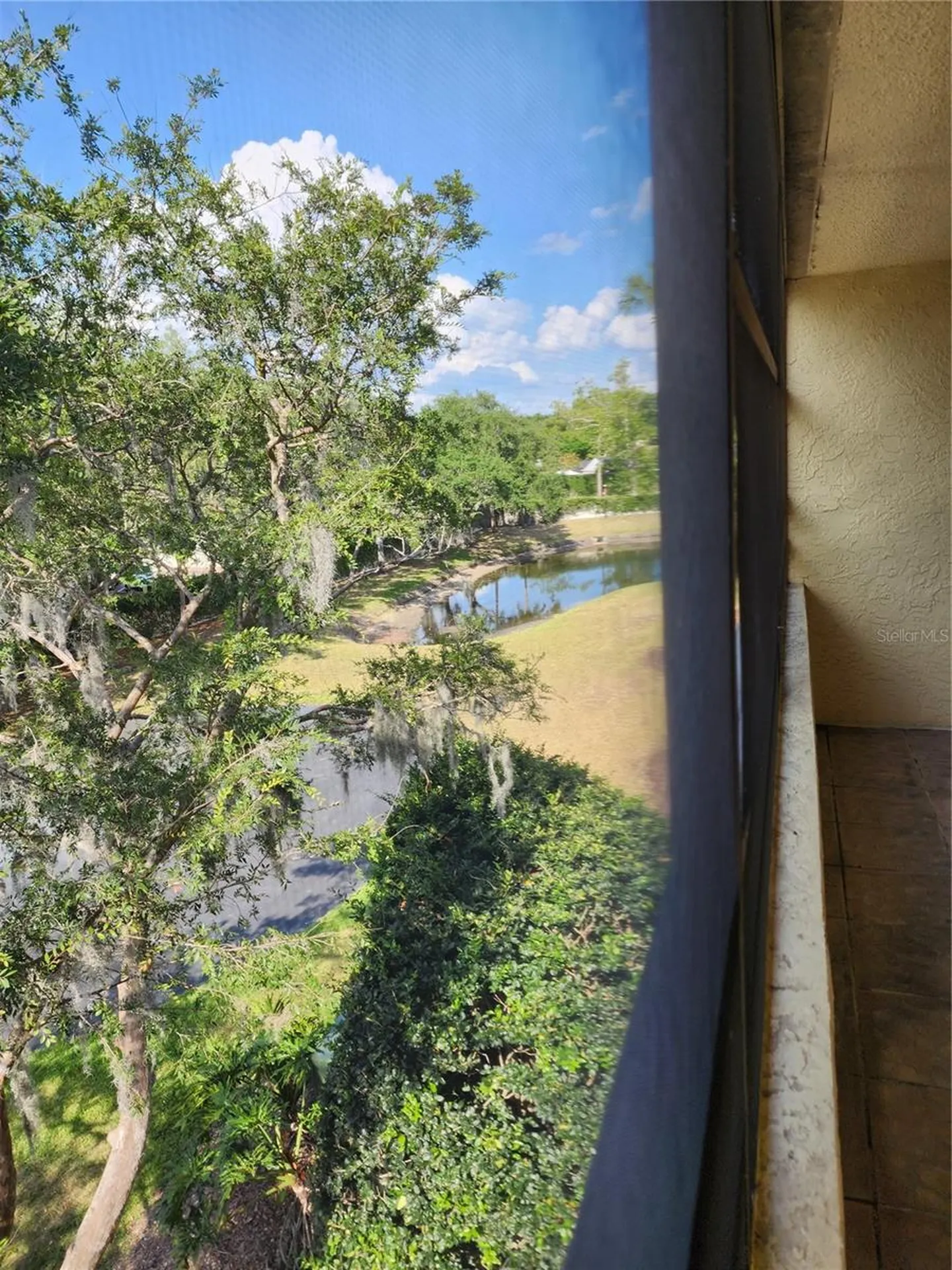 13612 S Village Drive Tampa FL 33618