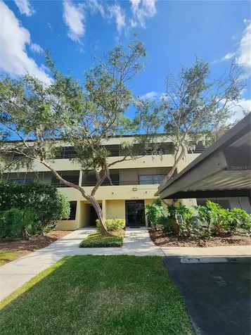 13612 S Village Drive Tampa FL 33618