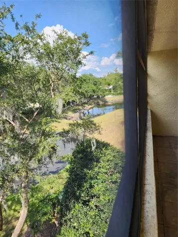 13612 S Village Drive Tampa FL 33618