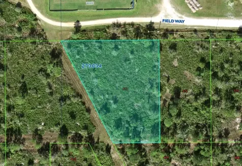 None Lake Wales FL 33859