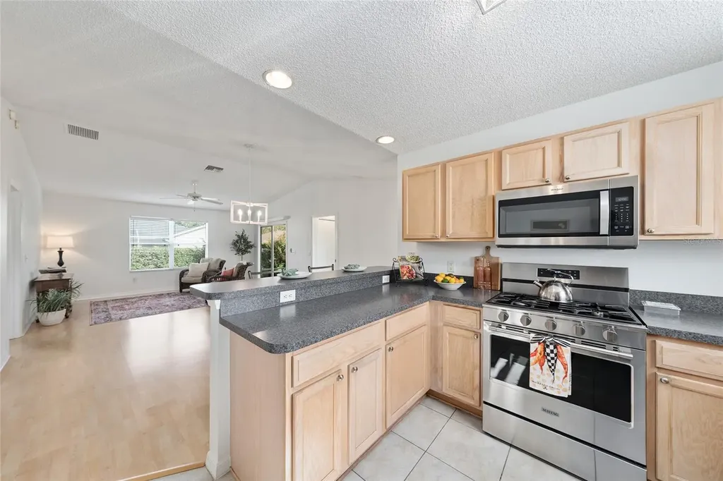 8065 SE 175th Columbia Place The Villages FL 32162