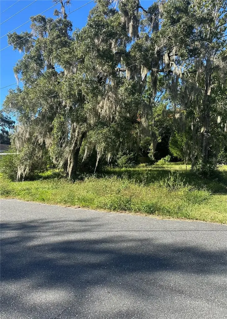 Lot 8 NE 1st Street Williston FL 32696