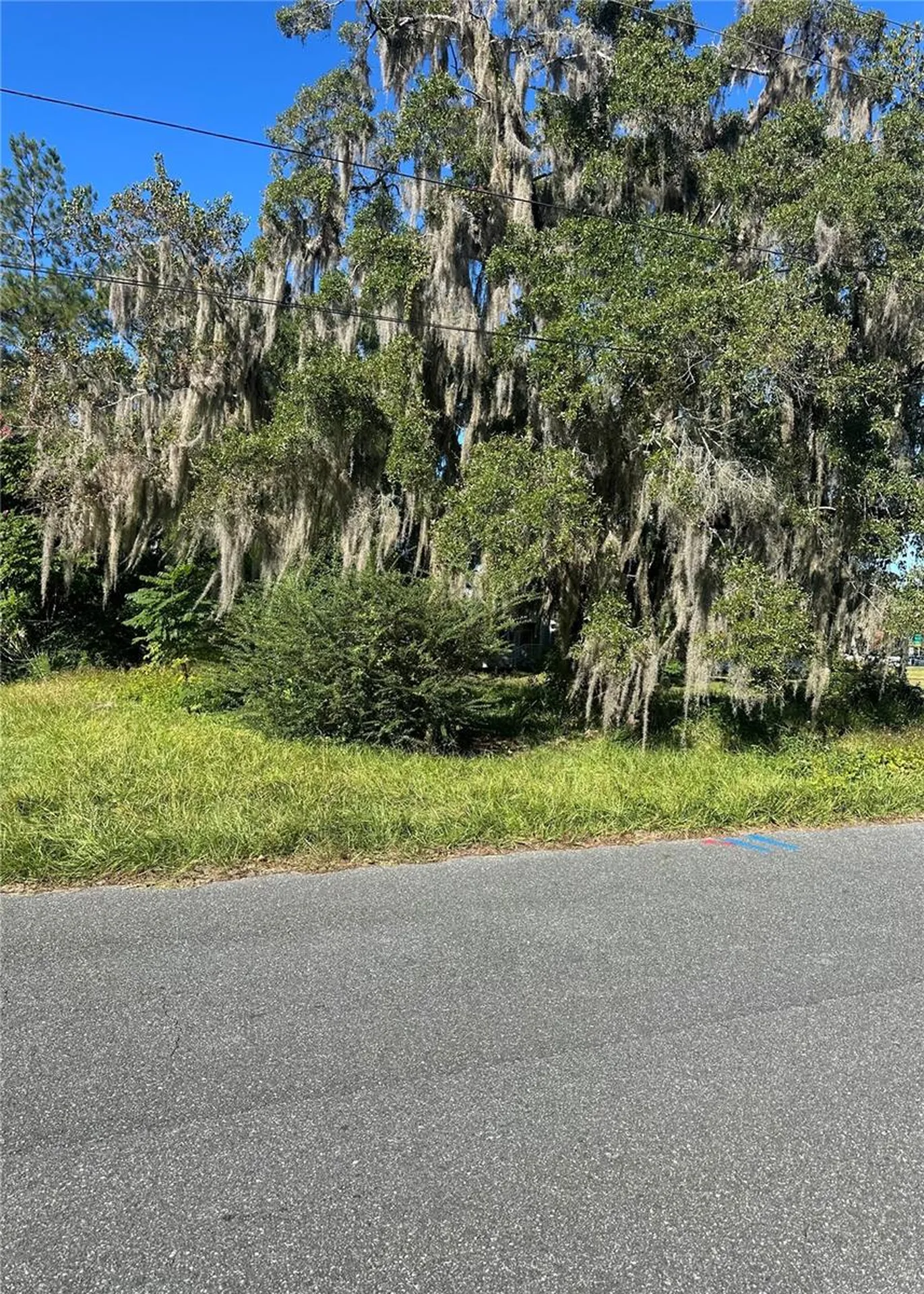 Lot 8 NE 1st Street Williston FL 32696