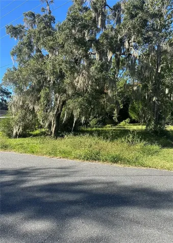 Lot 8 NE 1st Street Williston FL 32696