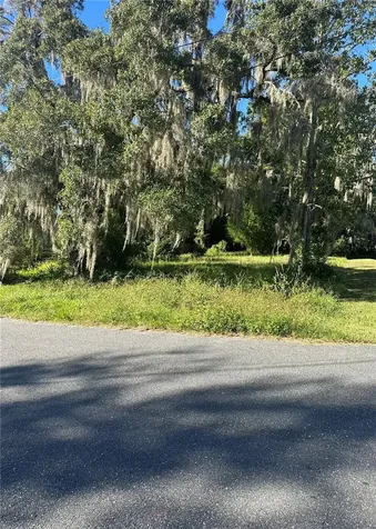 Lot 8 NE 1st Street Williston FL 32696