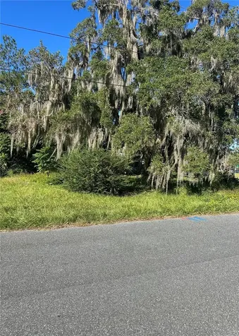 Lot 8 NE 1st Street Williston FL 32696