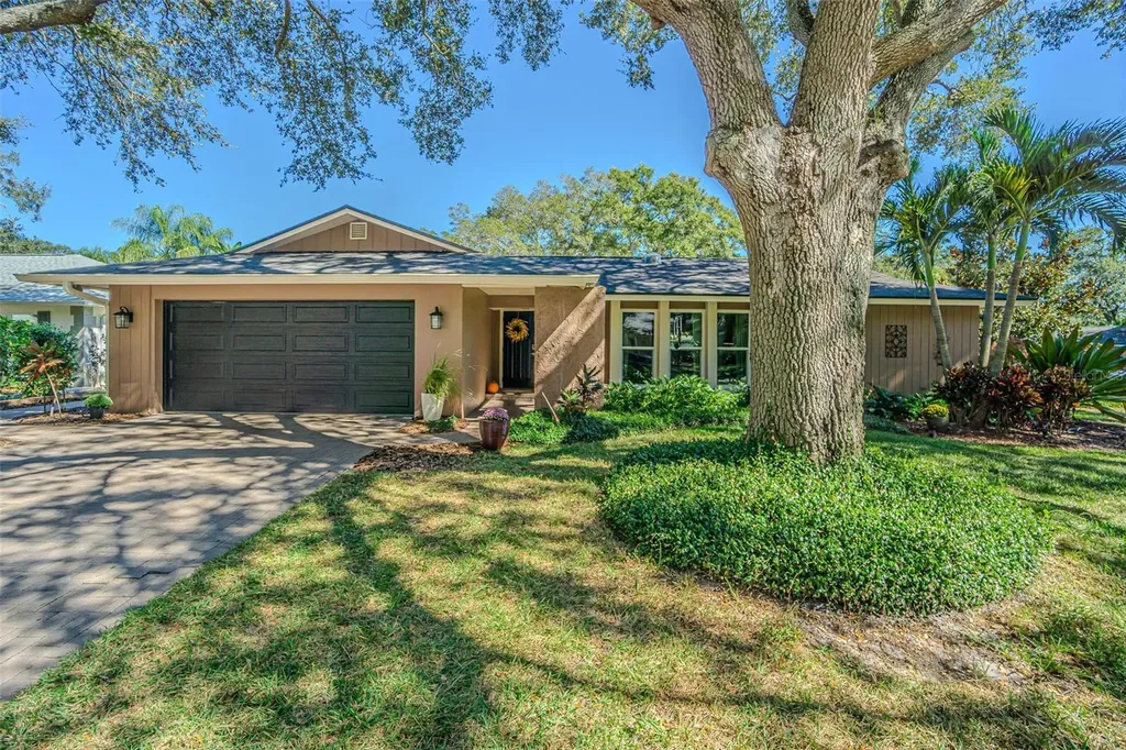 936 Highview Drive Palm Harbor FL 34683