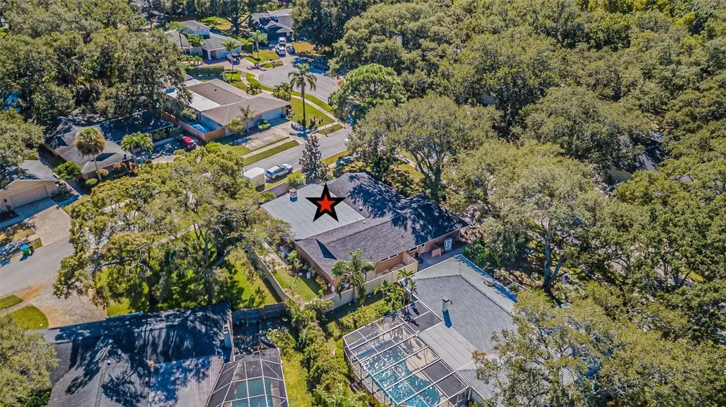 936 Highview Drive Palm Harbor FL 34683