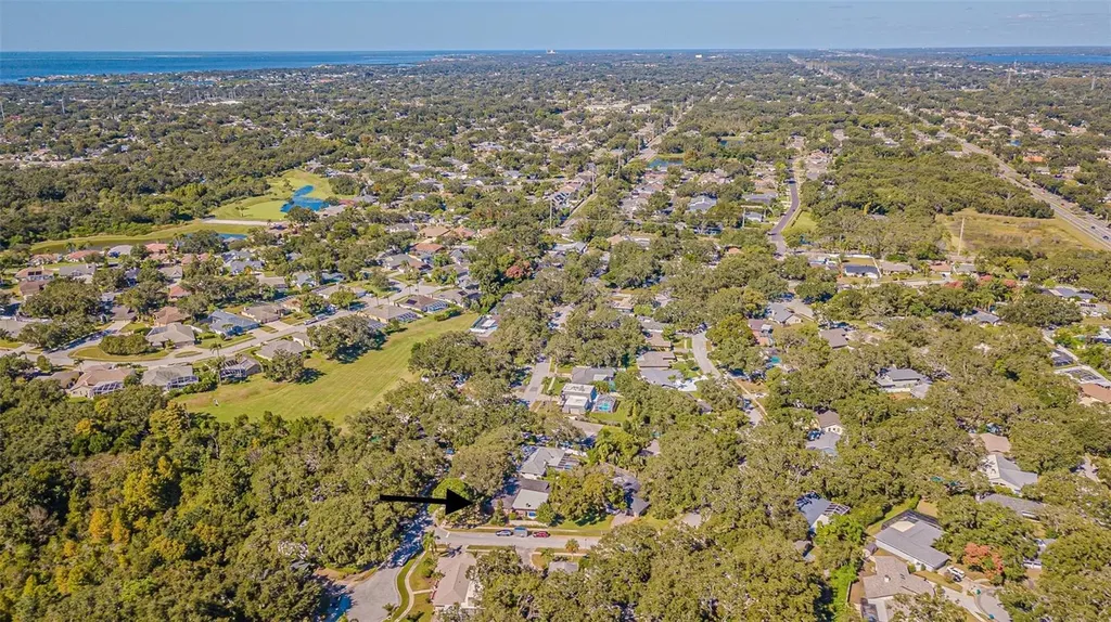 936 Highview Drive Palm Harbor FL 34683
