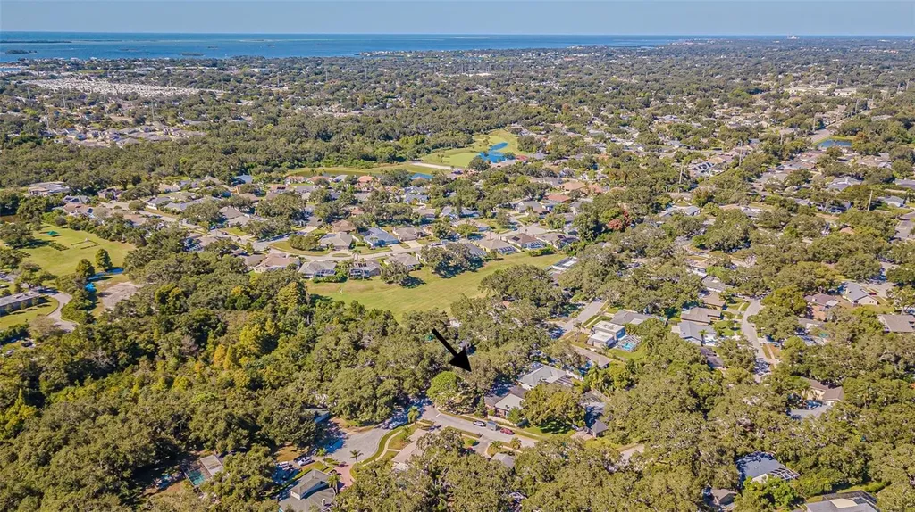 936 Highview Drive Palm Harbor FL 34683