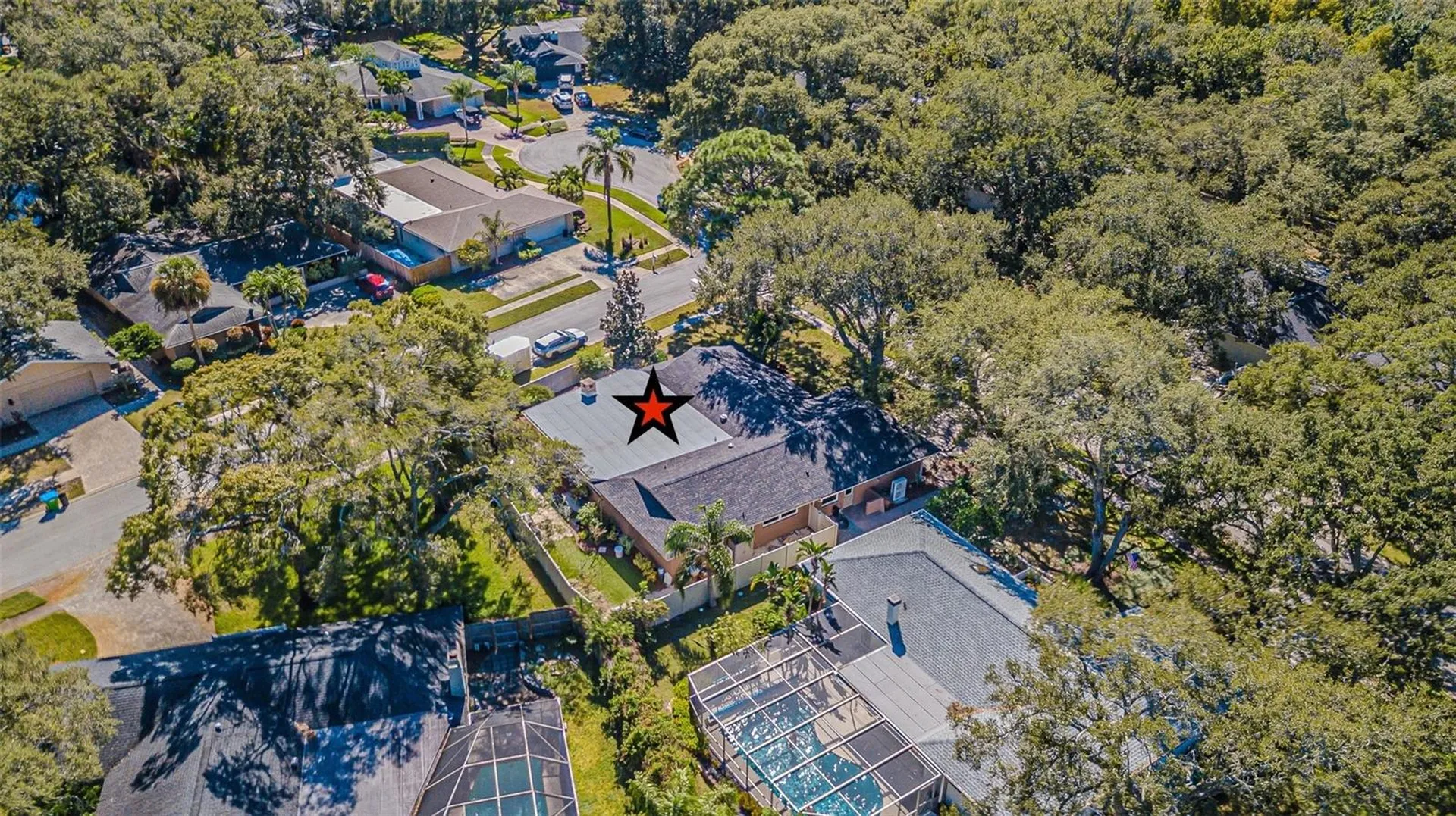 936 Highview Drive Palm Harbor FL 34683