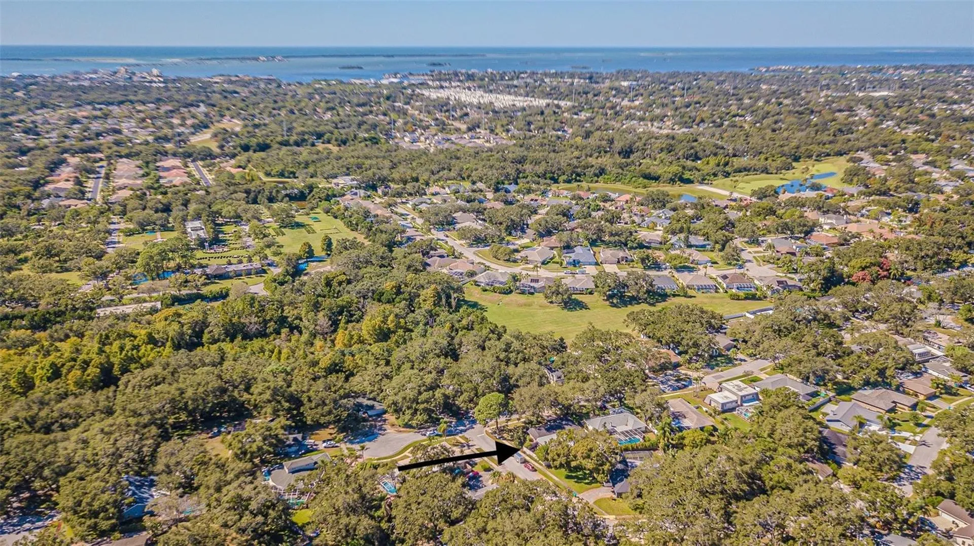 936 Highview Drive Palm Harbor FL 34683