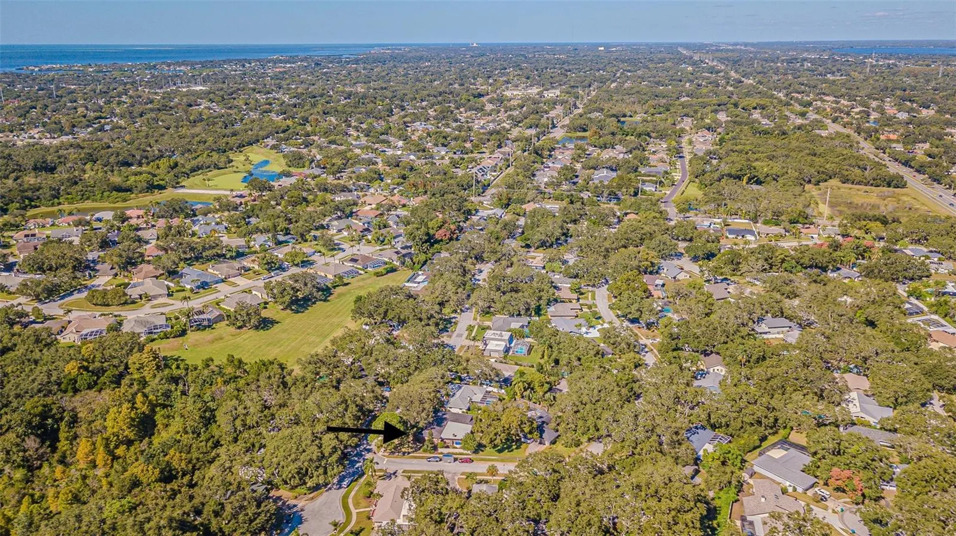 936 Highview Drive Palm Harbor FL 34683