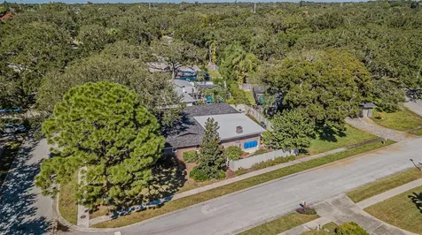 936 Highview Drive Palm Harbor FL 34683
