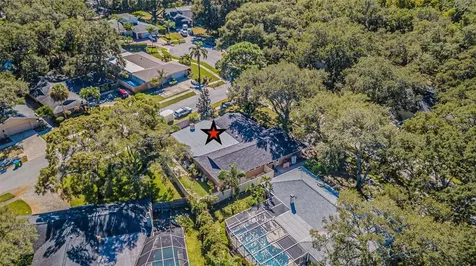 936 Highview Drive Palm Harbor FL 34683