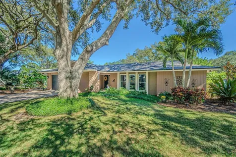 936 Highview Drive Palm Harbor FL 34683