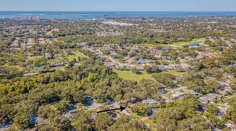 936 Highview Drive Palm Harbor FL 34683