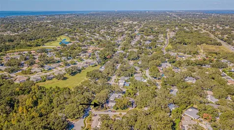 936 Highview Drive Palm Harbor FL 34683