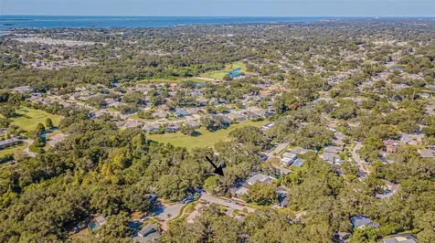 936 Highview Drive Palm Harbor FL 34683