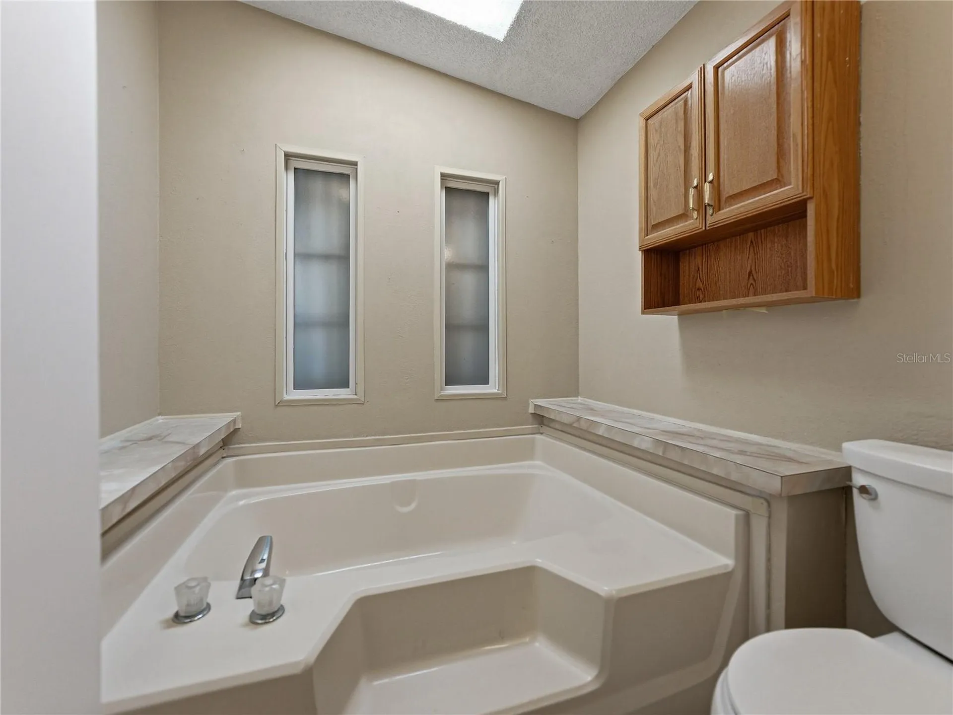 3822 Damian Drive Zephyrhills FL 33541