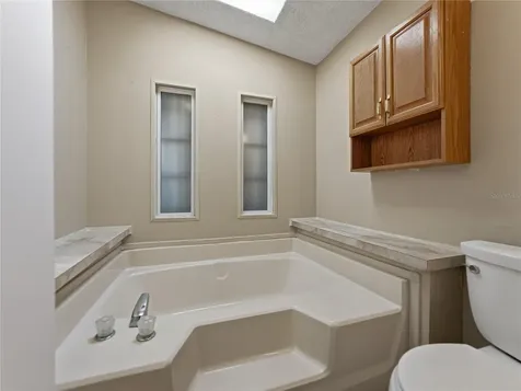 3822 Damian Drive Zephyrhills FL 33541