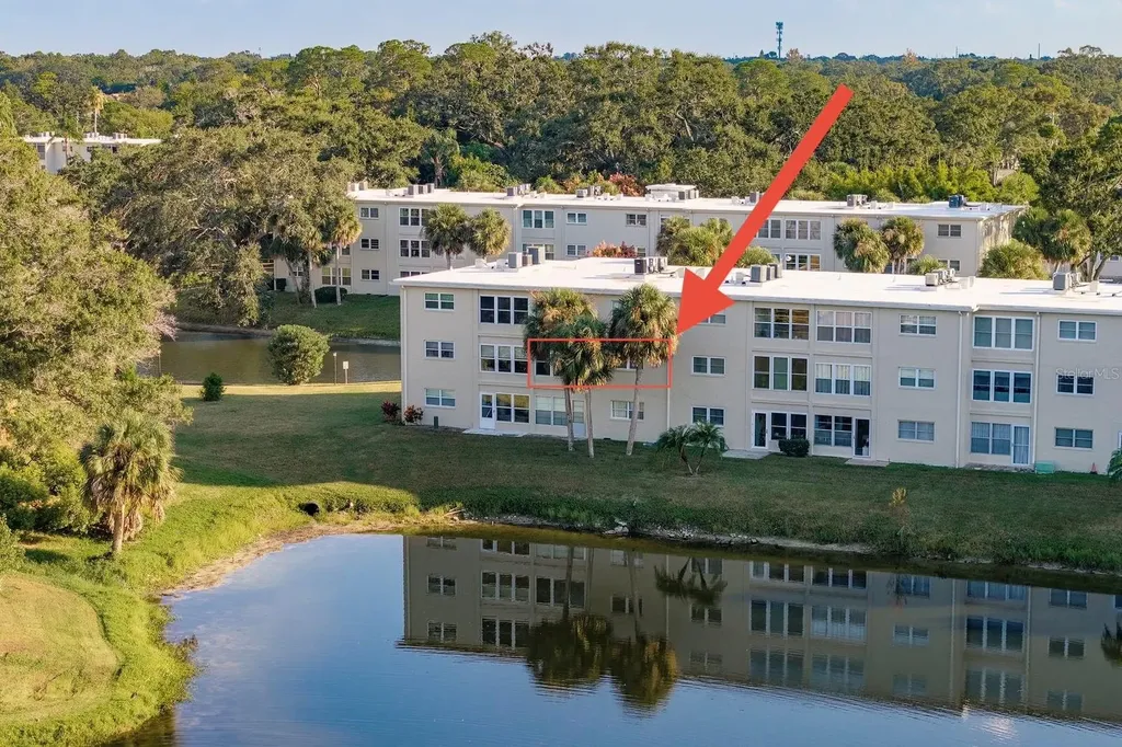 936 Virginia Street Dunedin FL 34698