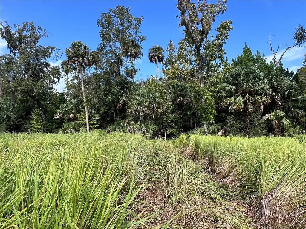 Nfs 73 / Alco Road Astor FL 32102
