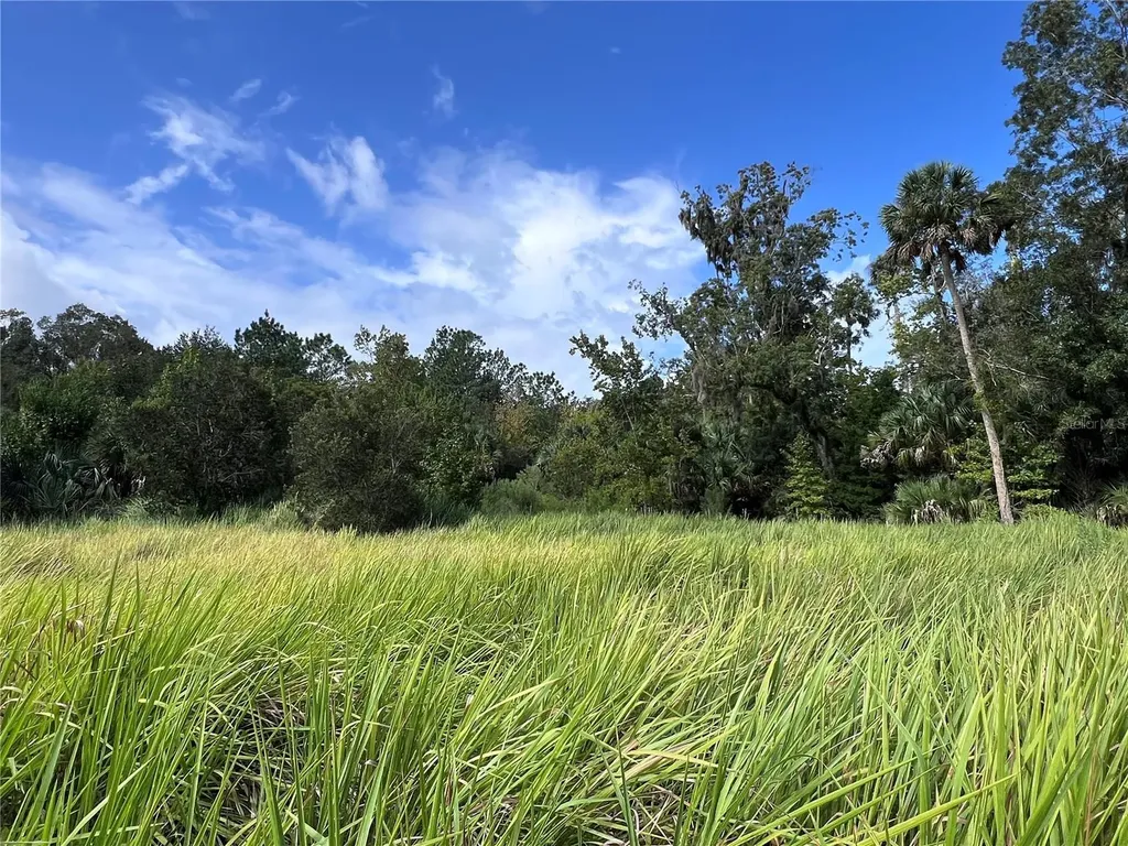 Nfs 73 / Alco Road Astor FL 32102